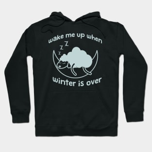 Wake me up when winter is over Hoodie